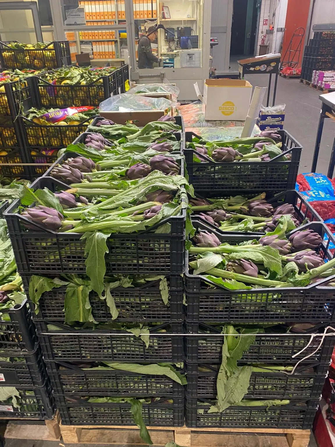 Carciofi Thema in cassette pronti alla vendita diretta